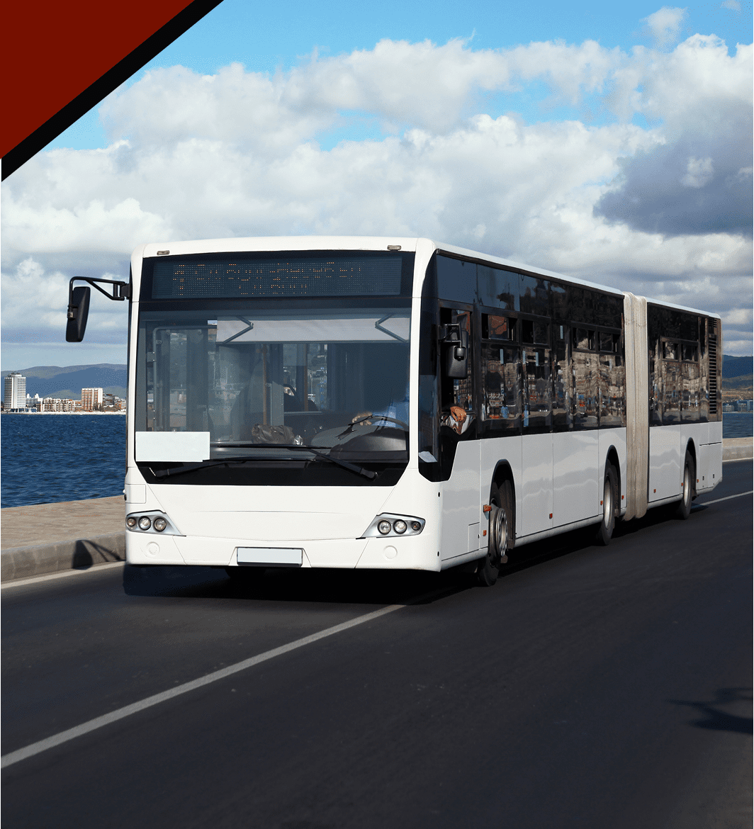 White bus traveling along coastal highway